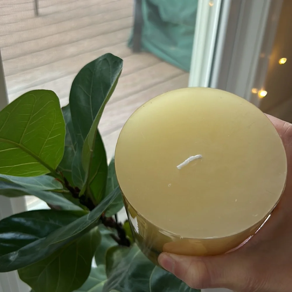NWT Crate&Barrel Seashell Candle 2 🐚 RARE